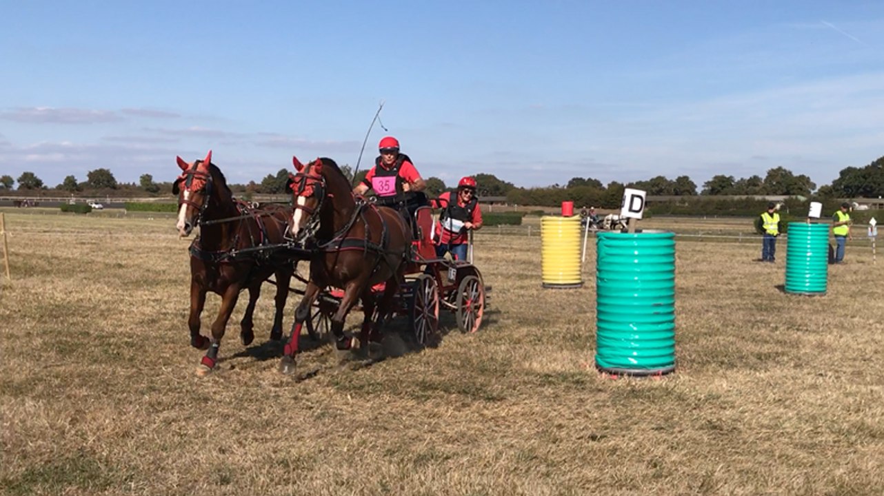 Concours national d’attelage