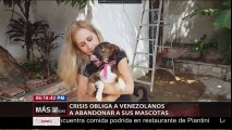La crisis obliga a venezolanos a abandonar a sus mascotas