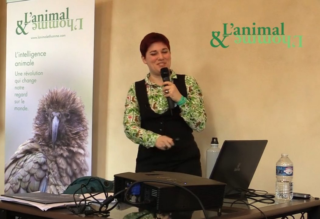 Conférence Agatha Liévin-Bazin nouvelle version