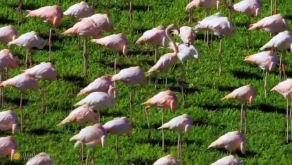 Aerial Cities S01xxE04 Miami 24 - Part 02