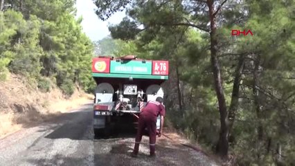 Antalya Gazipaşa'da Orman Yangını