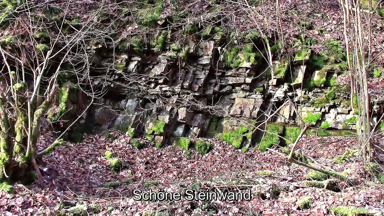 Auf großer Tour den Natursteig Sieg entlang - 4
