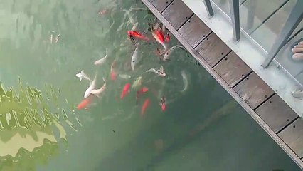 Look what found out in Bangalore