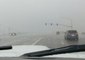 Hurricane Rosa Brings Heavy Rainfall to Yuma, Arizona