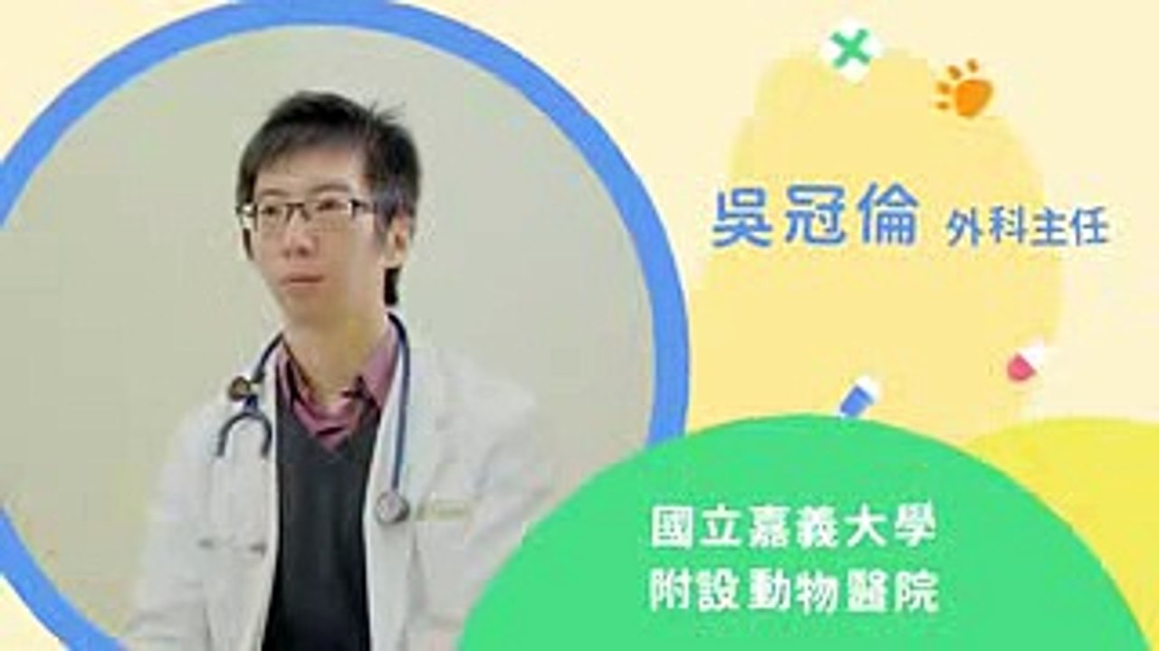 《毛小孩的神回答》第12集：請問對於家中有癌犬的飼主，有什麼建議或要注意的嗎？