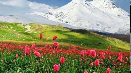 Dertli & Hüzünlü Türküler !!!  - 2017