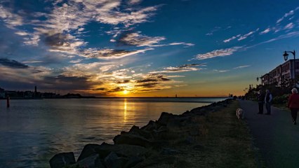 개업축하화분문구 개업축하화분배달 59꽃배달 주문전화 (1833 - 5900)