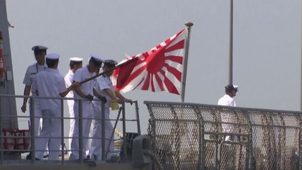 [뉴스앤이슈] "욱일기 OUT?"...일본은 왜 욱일기를 고집할까? / YTN