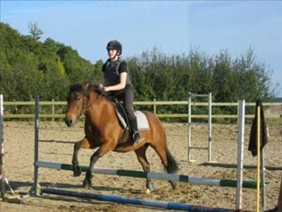 Les chevaux