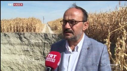 Karapınar'da obruk tehlikesi