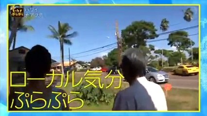 World Pulapula-20160221