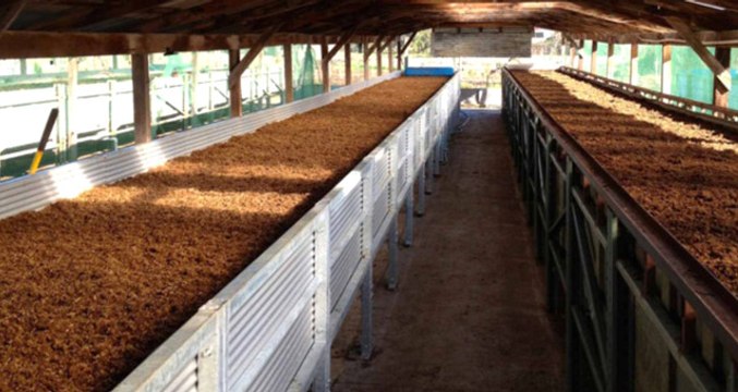 Bin Lira Sermaye ile Başladığı Solucan Gübresinden Aylık On Bin Lira Kazanıyor