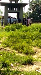 Desi - what is happening here -why?