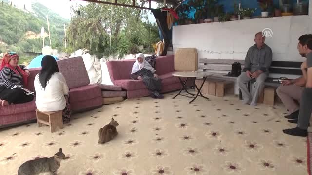 Akçaabat'ın Asırlık Çınarı Pamuk Nene