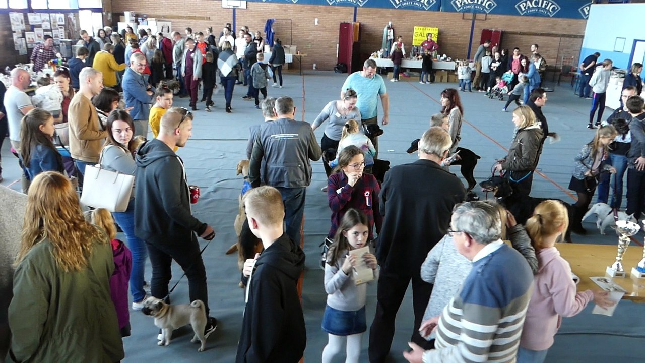 La journée des Animaux de Compagnie 3