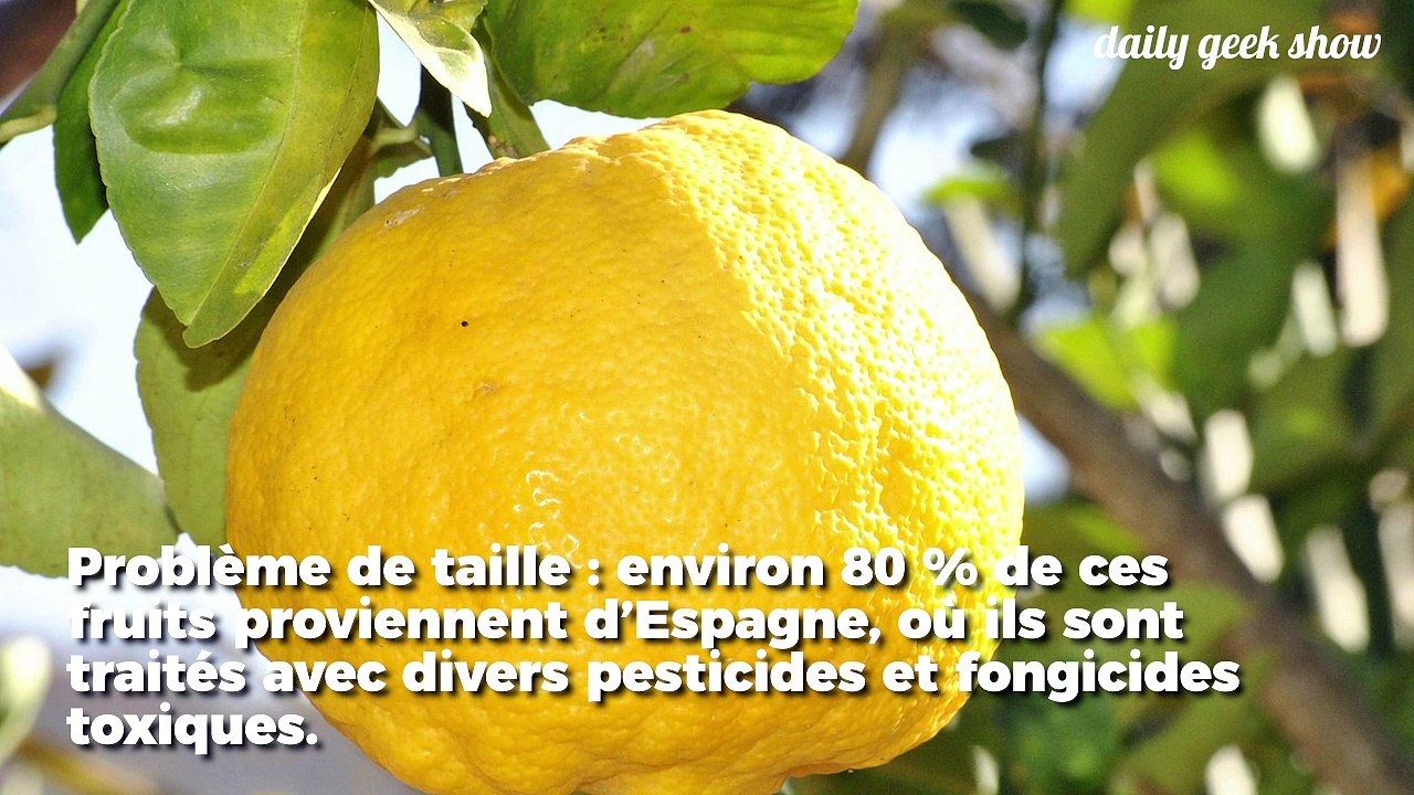 80 % des citrons vendus en France contiennent des produits toxiques