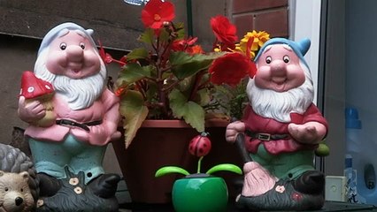 Channel 4 [UK] Documentaries My Baggy Body