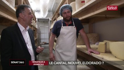 Les jeunes de retour dans le Cantal