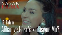 Alihan ve Hira yakınlaşıyor mu? - Yasak Elma 16. Bölüm