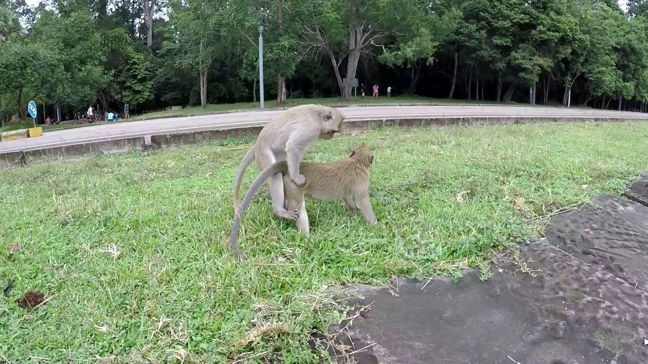 Very pity baby Aiden, Baby Aiden Get Hurt cuz fall down in to the rock,