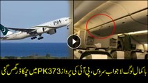 Karachi: Bat sneaks in PIA flight