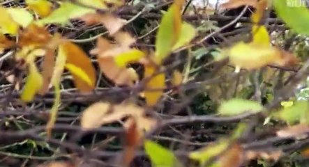 Family Finders S02 - Ep01  1 HD Watch