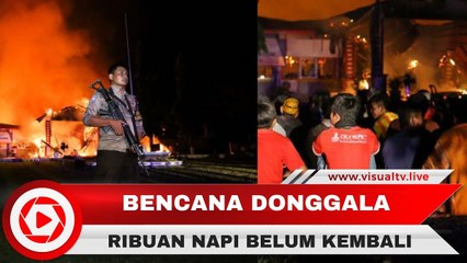 1.425 Napi Belum Kembali, Pasca Kabur dari Gempa dan Tsunami Donggala