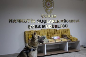 Bal Tenekeleri İçerisinde 176 Kilogram Eroin Ele Geçirildi