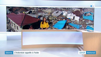 Tsunami en Indonésie : le pays a besoin d'aide en urgence