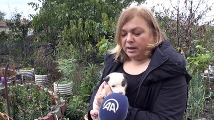 Okla öldürülen 'Garip'in yavruları emin ellerde - KIRKLARELİ