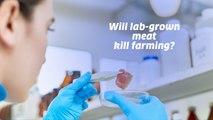 Will lab-grown meat kill farming? | Today's News from the Future with Steve Fuller