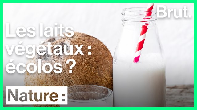 L'impact environnemental des laits végétaux