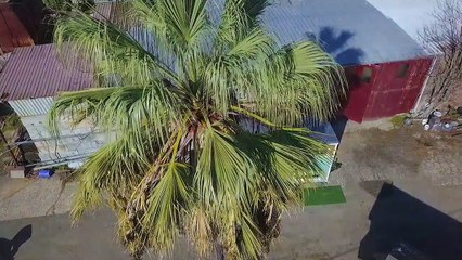 Tiny House Builder- Roomy Retreat Tiny House - 28 Ft