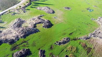 Deli zeytini akıllı yaptılar...Zeytinin yetiştiği bölge havadan böyle görüntülendi