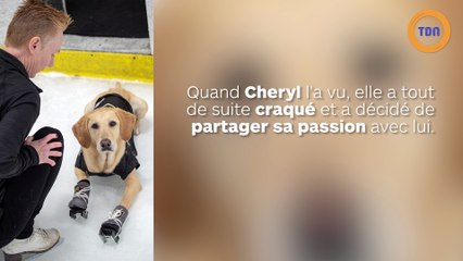 Ce chien fait du patin à glace !
