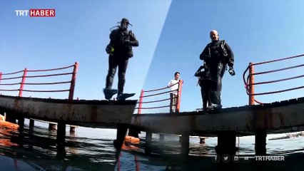 Deniz canlılarının yuvası: İnönü vapuru