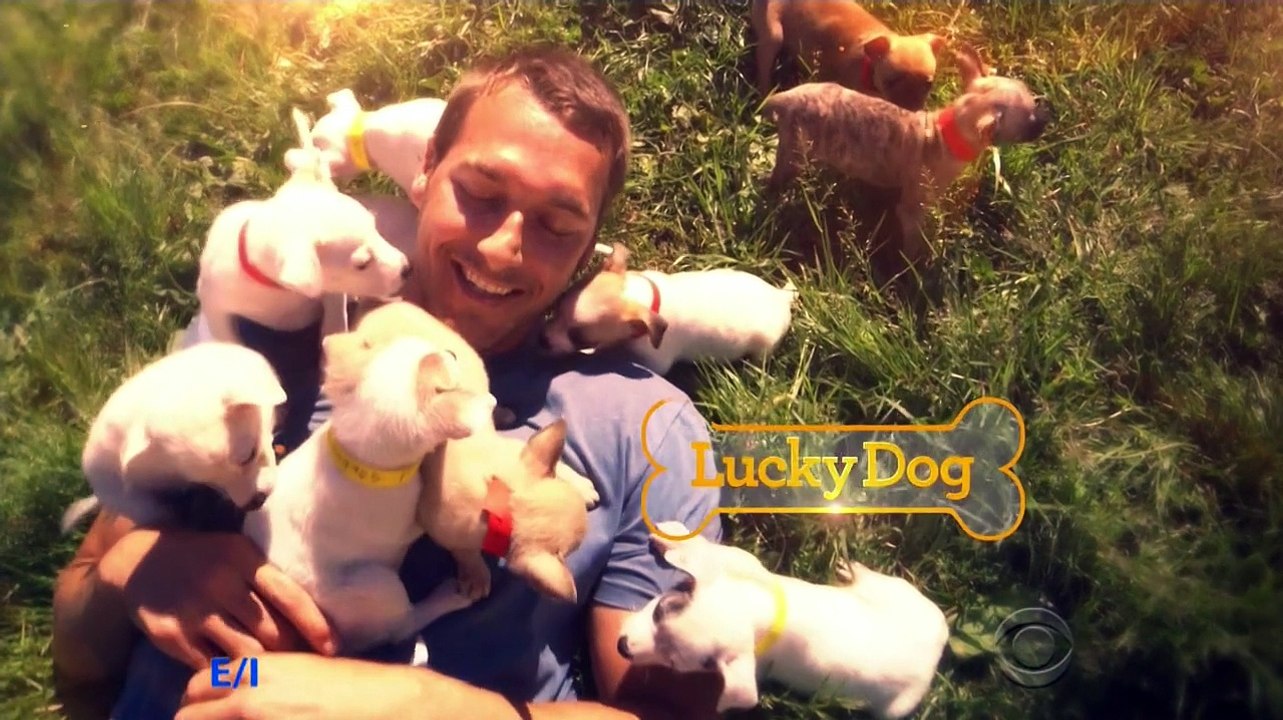 Lucky Dog S06E01 Ginger