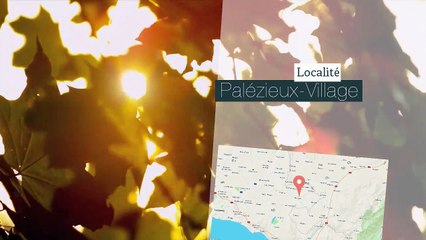 A vendre - Appartement - Palézieux-Village (1607) - 5.5 pièces - 117m²