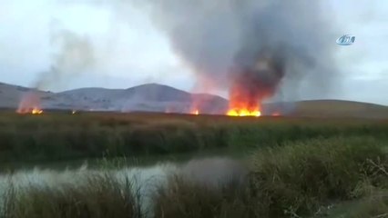 Hatay'da 8 Dönüm Sazlık Alan Kül Oldu