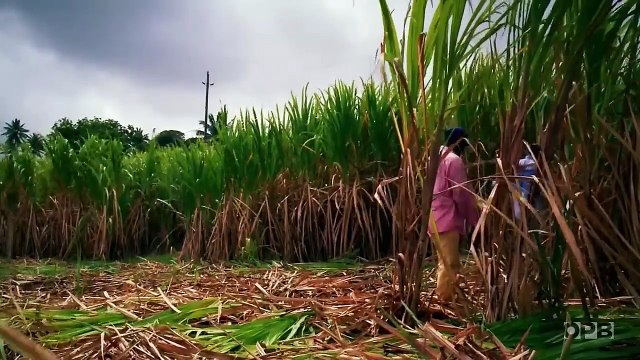 Africa's Great Civilizations ep.5