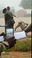 Nigerian Senior Soldiers  Flogging Junior Soldiers  For Demanding For Their Allowance In Kaduna