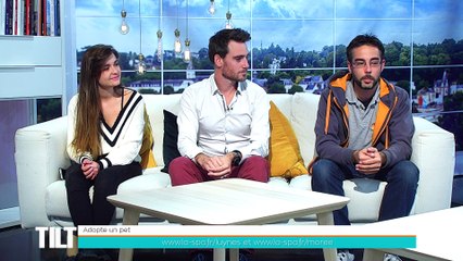 TILT - 01/10/2018 Partie 2 - Un rallye type Pékin Express au départ de Tours