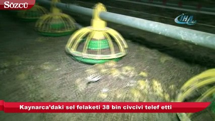 Kaynarca’daki sel felaketi 38 bin civcivi telef etti