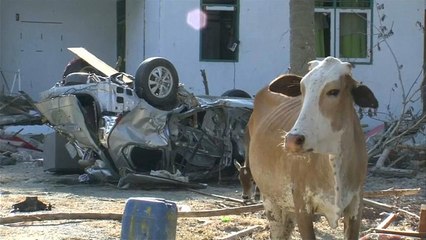 Welle der Hilfsbereitschaft für Indonesien