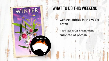 Gardening Australia S29E23