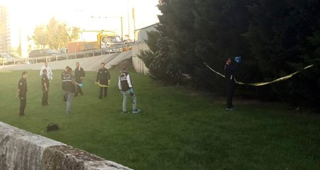 İstanbul'da Bir Kişi Ağaca Asılı Halde Bulundu