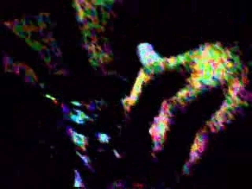 Nikolson chez nikortyl