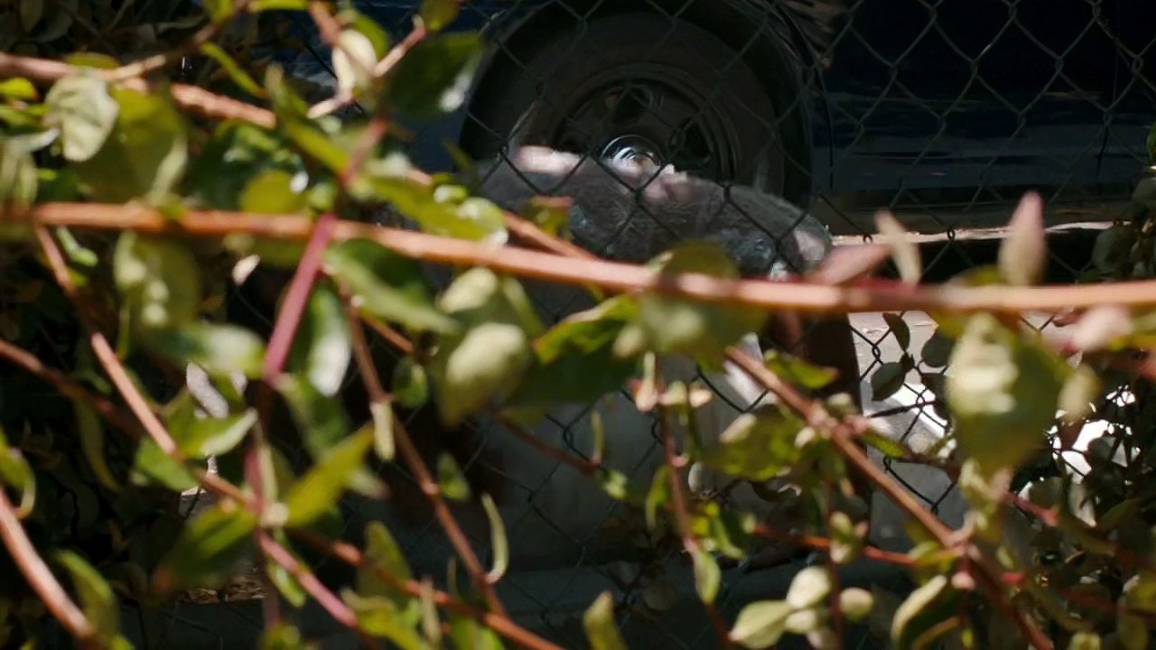 Get Shorty S02E09