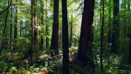 Mister Tachyon S01E07