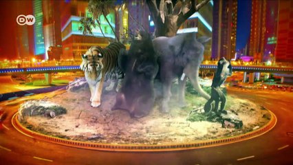 Niger: Protecting the giraffes | DW English